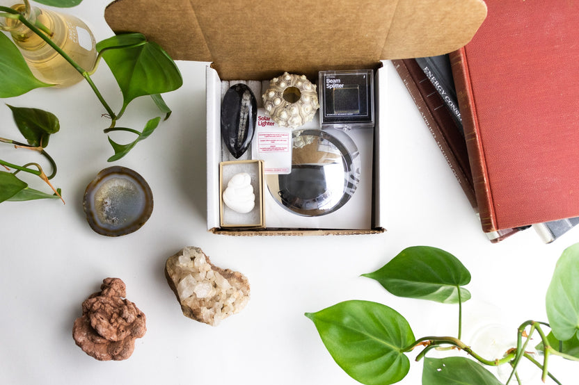 An open Matter subscription box displaying real science artifacts like fossils and meteorites among green plants