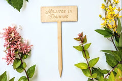 Gardening Breakup Box