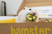 Hamster Mail