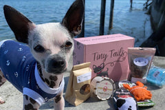 Wag Swag Box