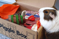 Piggie Box