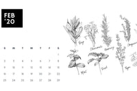 Adult Coloring Monthly