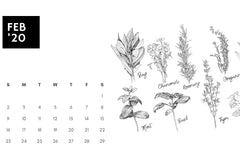 Adult Coloring Monthly