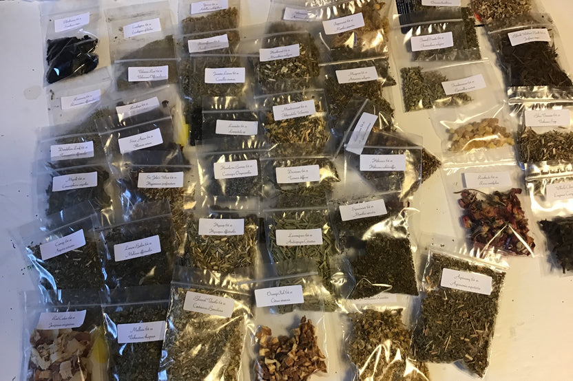 Apothecary Apprentice Monthly Package