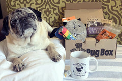 Pug Box