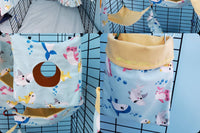 Standard Monthly Box  - 5 Matched Items  - Rats, Hedgehogs, Guinea pigs, Chinchillas, Sugar Gliders, and MORE!!