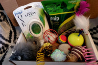 KatNip Box