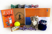 Bring a Book to Life Book and Gift Box