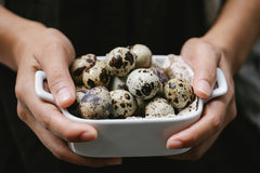 24 Fresh Quail Eggs