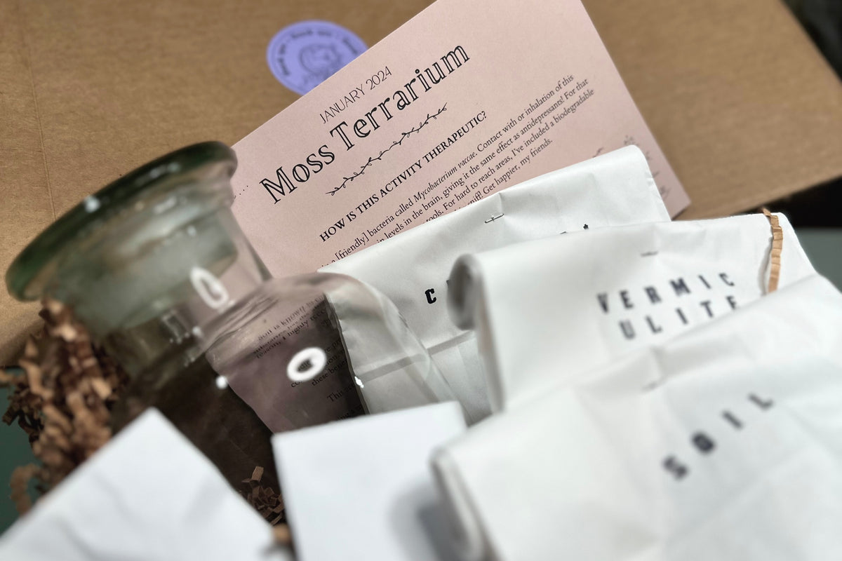 Therapeutic Garden Box