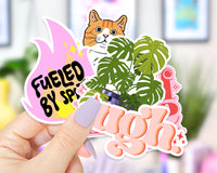 Adult Waterproof Vinyl Sticker Subscription