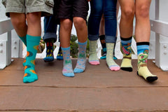 Sock Panda Tween Sock Subscription (Ages 8-11)  -  Two Pairs Each Month