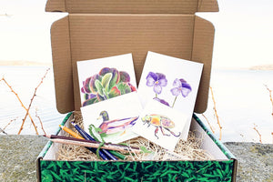 Homeschool Art Box - Art School Box