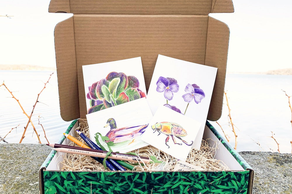 Our projects change from month to month so this will not be repeated. Past projects are for sale as ProjPacks on classyartistbox.com.