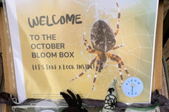 Montessori and Waldorf Inspired Exploration Box | Bloom Box
