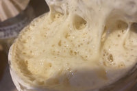 Sourdough Starter 5G
