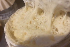 Sourdough Starter 5G