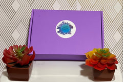 Simply Your Relaxation Box - Fragrance Oil