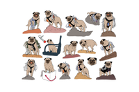 Vinny the Pug's Sticker group #4 contain many images inspired by actual photographs of Vinny climbing boulders in the Sonoran Desert.