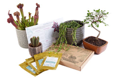 Monthly Tropical Houseplant Seed Subscription Box.