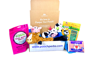 Pooch Perks Dog Box