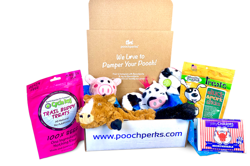 Pooch Perks Dog Box