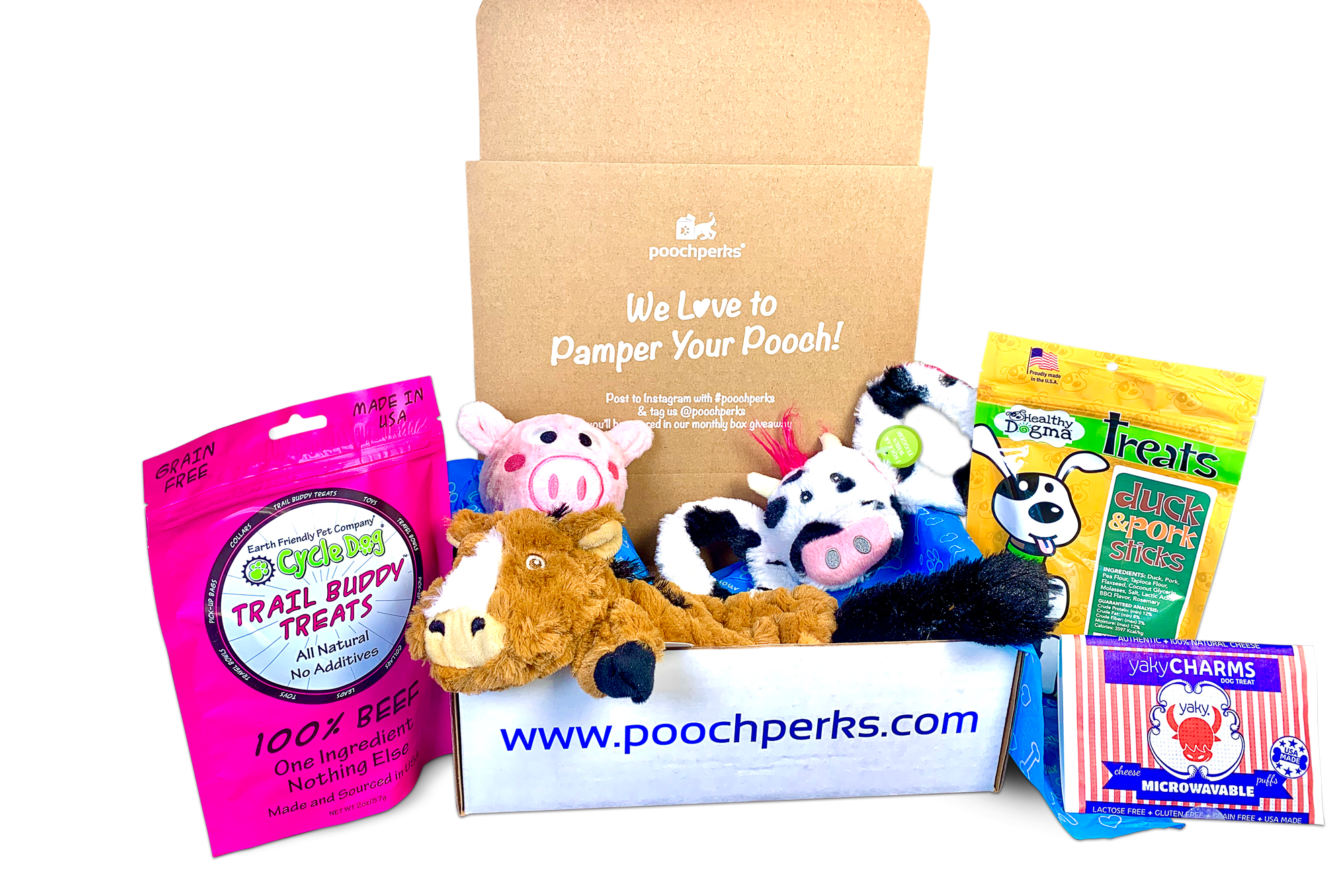 Pooch Perks Dog Box Cratejoy - Main Image