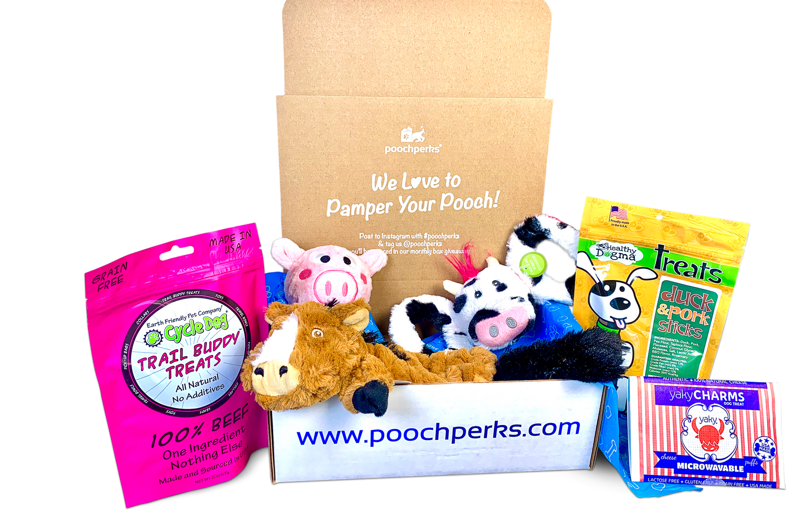 Pooch Perks Dog Box