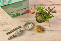 The Cactique Boutique Box