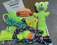 New Puppy Gift Box Dog Box, Dog Care Package New Dog Owner