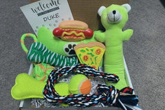 New Puppy Gift Box - Dog Box, Dog Care Package - New Dog Owner Gift