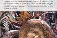 NEW Chakra Journal eBook Series-- Balancing the Rainbow Within