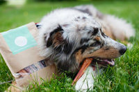 12" Bully Sticks - Bundle of 10