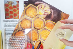 Beehives and wasp nests offer us the art, math, and geometry of nature. Represent this pattern with art and code.  
