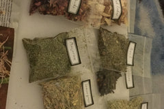 Apothecary Apprentice Monthly Package