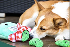 My Corgi and Me Box