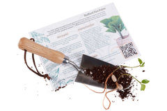 Monthly Tropical Houseplant Seed Subscription Box.