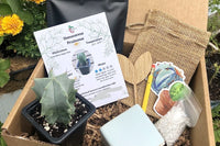 Succulent & Cacti Box - Planting Kit with Goodies!