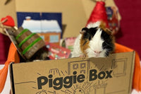 Piggie Box