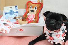 SealedWithPugKisses Specialty Dog Boxes