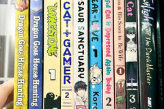 Monthly Mature Manga (18+ only) Box (5 Books per month)