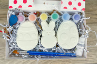 Paint Your Own Bath Bomb Kit