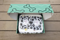 Northern By Sneed Monthly Dog Bandana Subscription