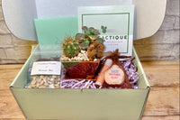 The Cactique Boutique Box