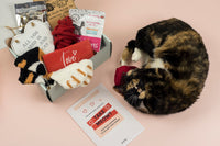 Monthly Gus & Bella Box