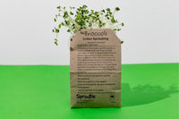 A brown paper packet of broccoli sprouting seeds sits on a green and white background. Green broccoli sprouts are poking out of the packet.