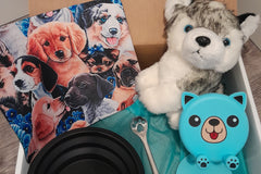 Pup Passion Box Subscription